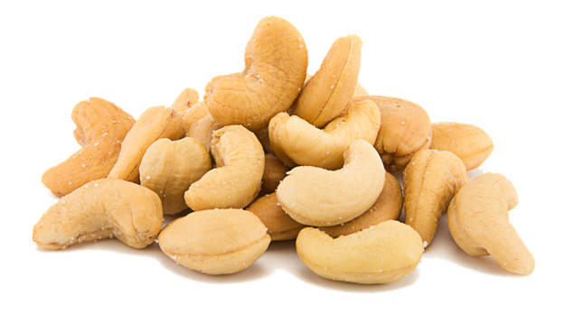 Cashew Mass Production  Cambodia